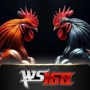 ws168 - HIGHBET88