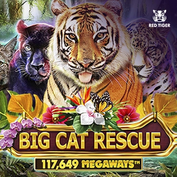 Big Cat Rescue Megaways - HIGHBET33