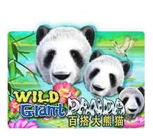 Joker123 : Wild Giant Panda - HIGHBET33