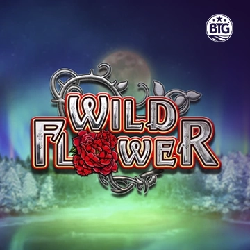 Bigtime : Wild Flower - HIGHBET33